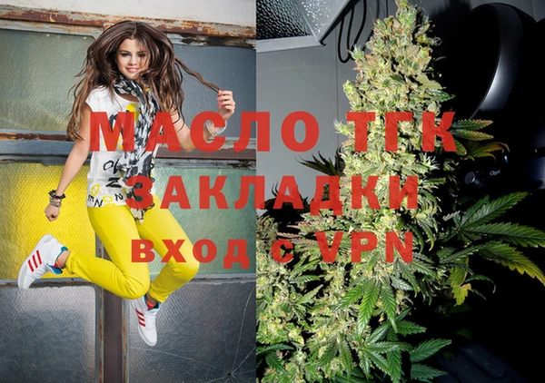 spice Богородицк