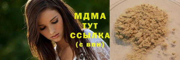 spice Богородицк