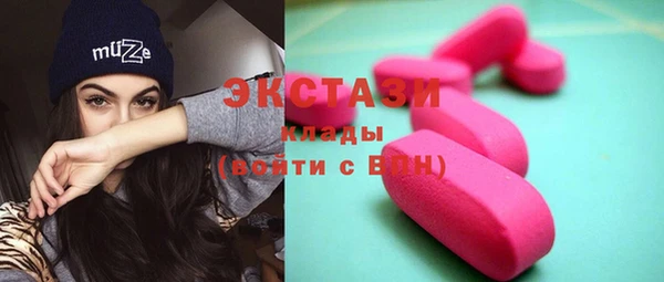 spice Богородицк