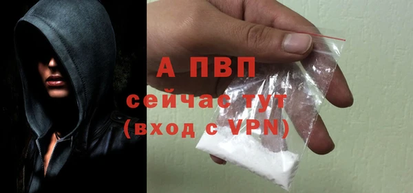 spice Богородицк