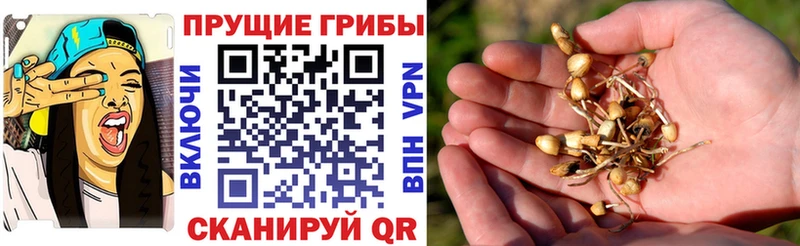 Купить где Добрянка Псилоцибиновые грибы мухоморы